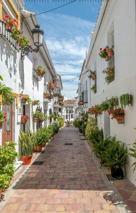 Trebol Apartamentos Benalmadena Аройо де ла Миел Екстериор снимка