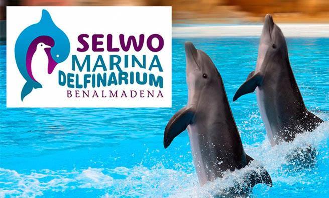 Trebol Apartamentos Benalmadena Аройо де ла Миел Екстериор снимка